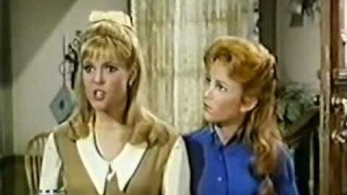 Petticoat Junction Season 4 Episode 26 - Author! Author!