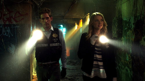 CSI: Crime Scene Investigation Season 13 Episode 21 - Ghosts of the Past