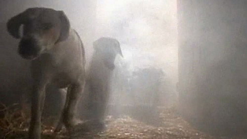 Are You Afraid of the Dark? Season 1 Episode 5 - The Tale of the Hungry Hounds