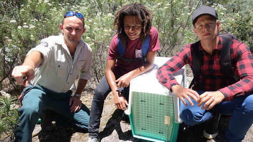 Bushwhacked! Season 3 Episode 10 - Wolf Spider