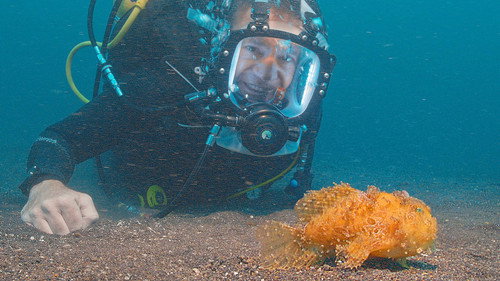 Deadly 60 Season 6 Episode 3 - Ocean Oddballs