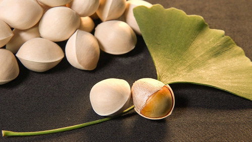 Trails to Oishii Tokyo Season 4 Episode 21 - GINKGO NUTS
