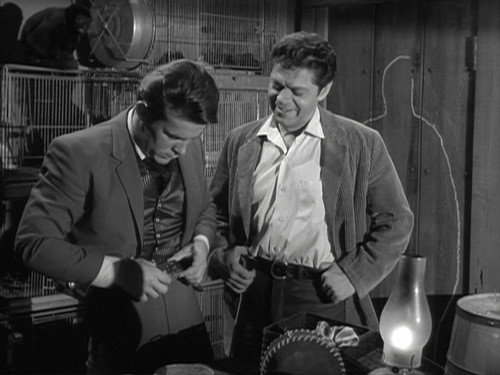 The Wild Wild West Season 1 Episode 28 - The Night of the Sudden Plague