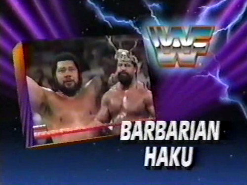 WWF Superstars Season 6 Episode 10 - March 9, 1991 - Superstars of Wrestling