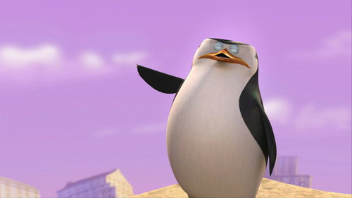The Penguins of Madagascar Season 1 Episode 26 - Skorca!