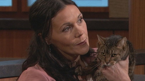 Kitty Custody in an Open Relationship still
