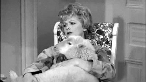 The Lucy Show Season 1 Episode 5 - Lucy Buys a Sheep
