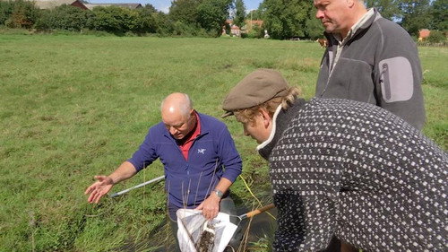 Frank & Kastaniegaarden Season 15 Episode 4 - Episode 4