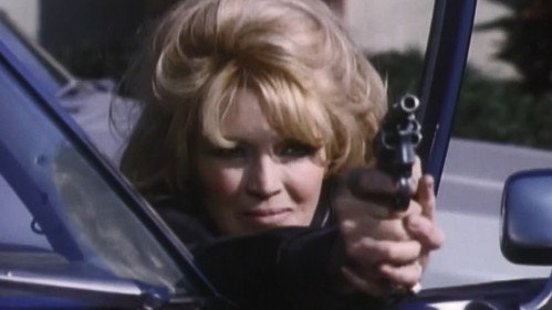Police Story Season 5 Episode 10 - The Freeway Killings