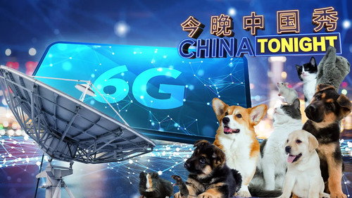 China Tonight Season 1 Episode 4 - Ai Weiwei and the Race to 6G
