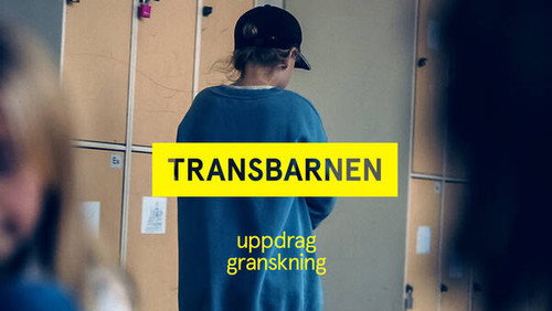 Uppdrag granskning Season 21 Episode 25 - Episode 25