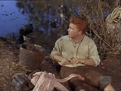 Bonanza Season 7 Episode 13 - A Natural Wizard