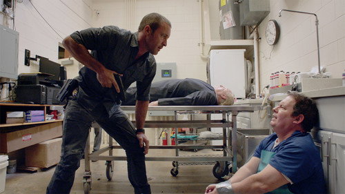 Hawaii Five-0 Season 8 Episode 14 - Nā keiki a Kalaihaohia (The Children of Kalaihoahia)