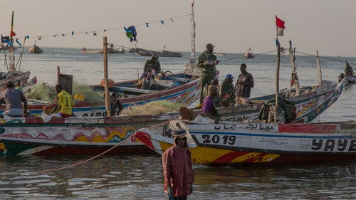 Foreign Correspondent Season 31 Episode 20 - Poachers' Paradise