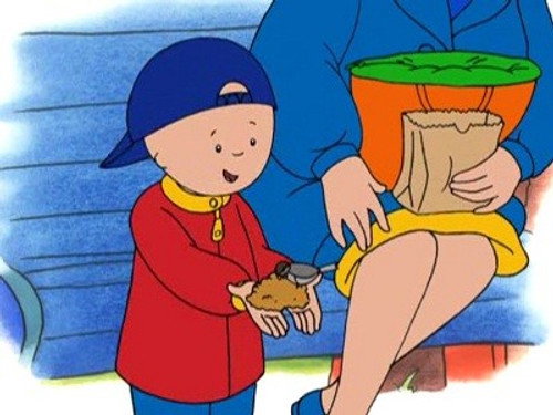 Caillou Season 1 Episode 58 - Caillou Goes Birdwatching