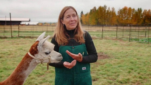 Dr. Oakley, Yukon Vet Season 9 Episode 6 - The Very Hungry Reindeer