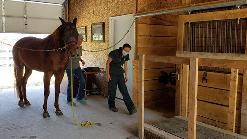 The Incredible Dr. Pol Season 18 Episode 10 - One Year Pol-der