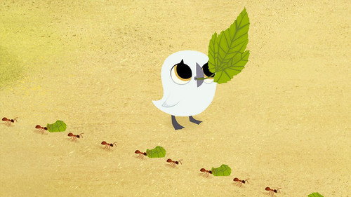 Puffin Rock Season 3 Episode 7 - Bug Bug Buggies