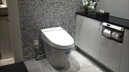Japanology Plus Season 3 Episode 22 - Toilets