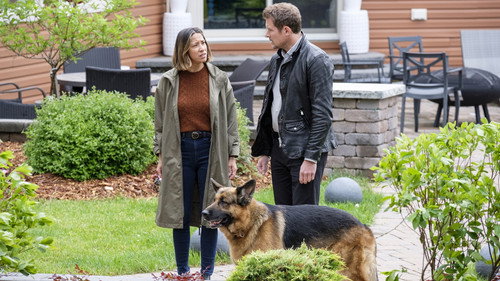 Hudson & Rex Season 4 Episode 2 - Oops I Bit It Again