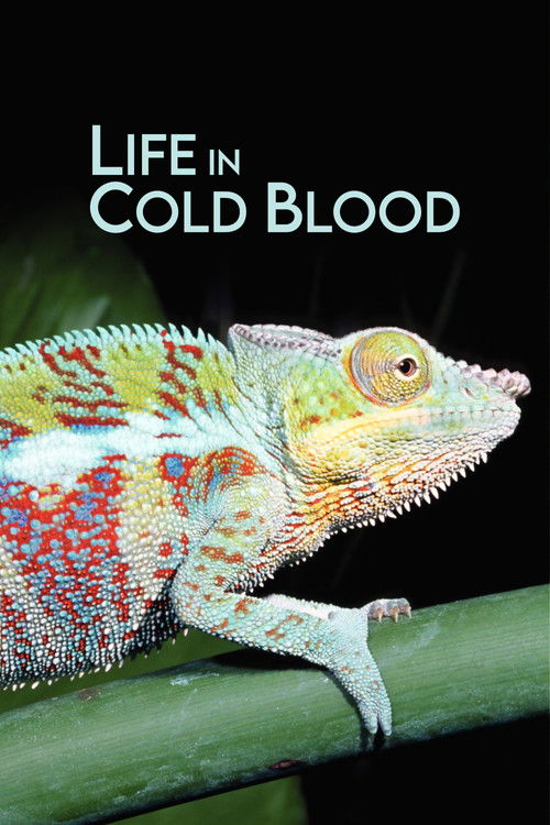 Life in Cold Blood poster