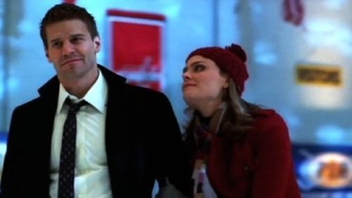 Bones Season 4 Episode 13 - Fire in the Ice