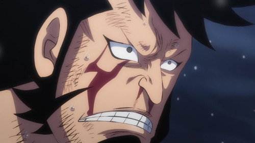 I Won’t Forgive Him! Chopper’s Determination! still