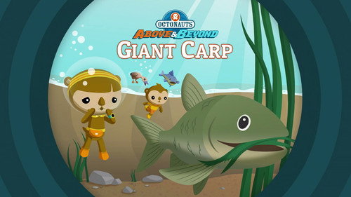 Octonauts: Above & Beyond Season 2 Episode 21 - Giant Carp