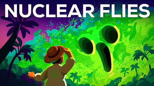 Kurzgesagt - In a Nutshell Season 13 Episode 8 - Why Is The US Dropping Billions Of Mutant Flies From The Sky?