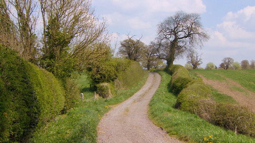 Shropshire still