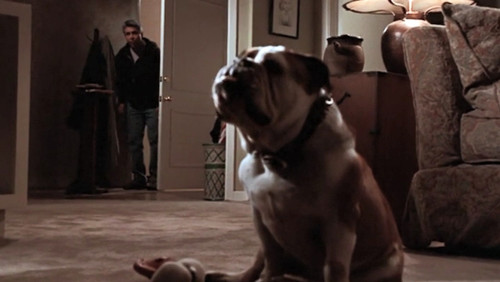 Chicago Hope Season 5 Episode 21 - And Baby Makes 10