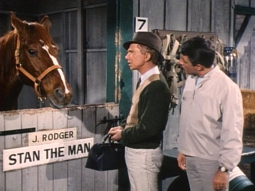 Horse and Buggy Martin still