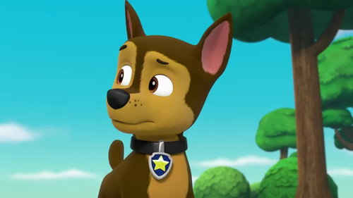 PAW Patrol Season 6 Episode 10 - Pups Save Mayor Goodway's Purse