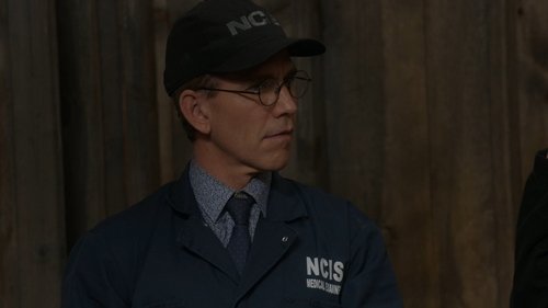 undefined Season 20 Episode 4 - Leave No Trace