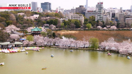 Japanology Plus mini Season 6 Episode 1 - Ueno