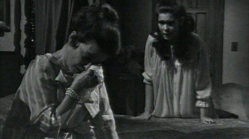DS-259 still