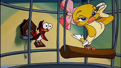 Animaniacs Season 4 Episode 18 - No Time For Love