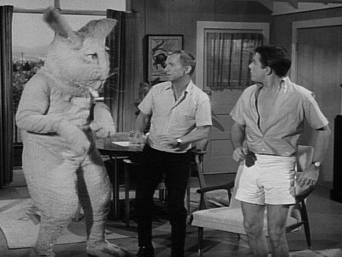 My Favorite Martian Season 2 Episode 13 - To Make a Rabbit Stew- First Catch a Martian