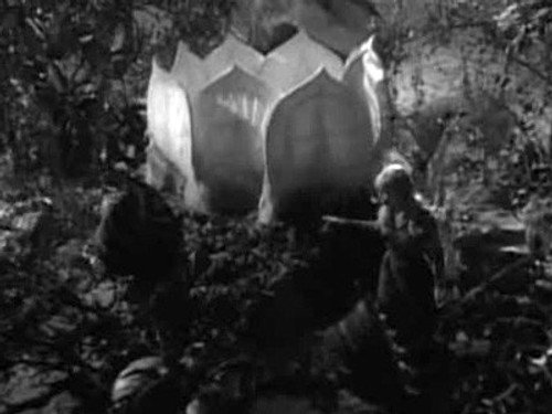 undefined Season 1 Episode 14 - Attack of the Monster Plants