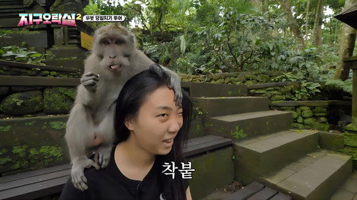 Earth Arcade Season 2 Episode 11 - The Second to Last Day in Bali