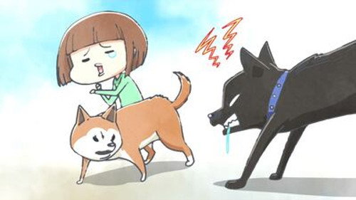 With a Dog AND a Cat, Every Day Is Fun Season 1 Episode 11 - The Dog Before the Previous Dog