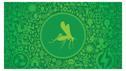 Mapping the World Season 29 Episode 6 - The worldwide distribution of mosquitoes