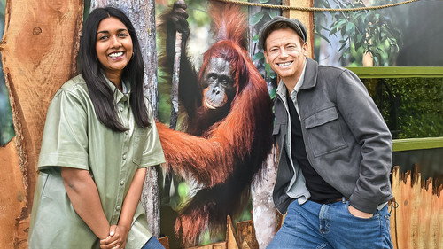 The Dengineers Season 7 Episode 6 - Orangutan Den