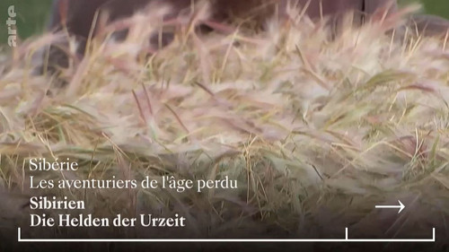 ARTE Reportage Season 19 Episode 10 - Episode 10