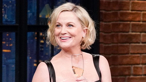 Amy Poehler, President Joe Biden still