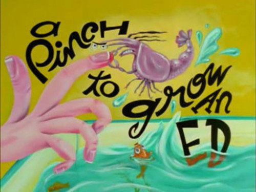 Ed, Edd n Eddy Season 1 Episode 6 - A Pinch to Grow an Ed