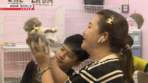 Asia Insight Season 15 Episode 5 - A New Passion for Pets: Thailand