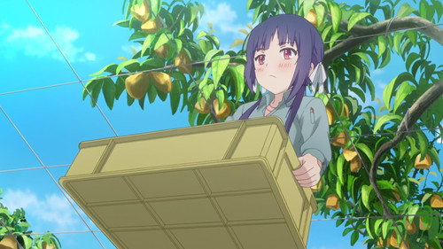 No-Rin Season 1 Episode 2 - The King of Farmers
