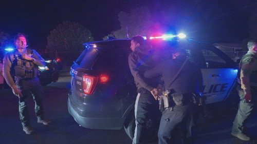Cops Season 37 Episode 14 - Live Wire