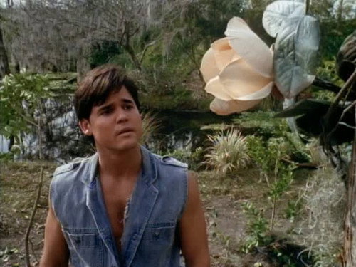 Swamp Thing Season 3 Episode 31 - In the Beginning